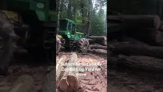 Lumber Capital Log Yard