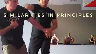 Similarities in Principles