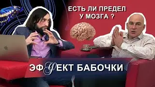 Радислав Гандапас. Мой психиатр, Нейронные сети, Лидерство.
