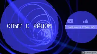 Опыт с яйцом