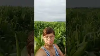 ❌не теряйтесь ❌