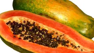 papaya