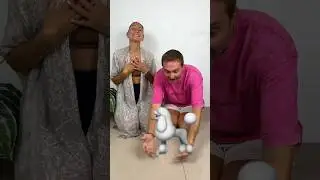 do you like cats or dogs? 