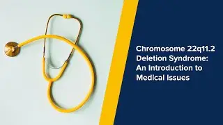 Chromosome 22q11.2 Deletion Syndrome: An Introduction to Medical Issues