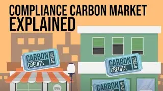What is the Compliance Carbon Market (CCM)?