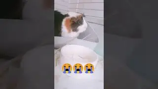 Последний день лета😭