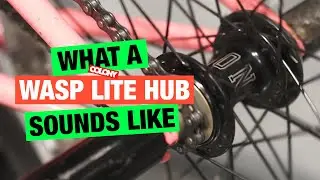 What A Colony Wasp LITE BMX Hub Sounds Like
