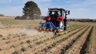 PotatoEurope 2018 - Kartoffeln hacken