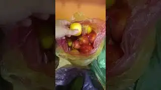 نزلت السوق مليت التلاجة بالخير واخر الاسعار