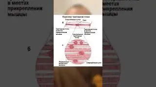 После процедуры миопрессуры стало хуже!