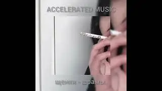 щенки - шрамы.