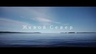 Документальный фильм "Живой Север".