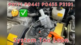 Toyota Camry Evap System Incorrect Purge Flow - Codes Related P0171 P0441 P0455 P3191 - Easy Fix