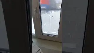 Синица - вандал. Bird tit - vandal