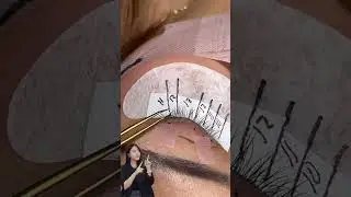 Classic Doll Eye Lash Mapping 👁️✨ | Step-by-Step Guide for Lash Artists