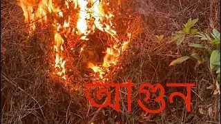 Burning Fire of weed