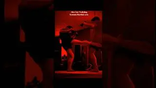 Alex Lee Training System Motivation