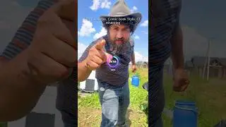 ЧИНГИЗ ТОГА КАРОЛМИ?
