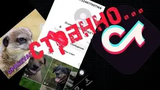 👹СТРАННЫЙ АККАУНТ В ТИК ТОК👹