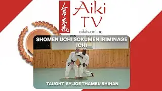 Shomen Uchi Sokumen Iriminage Ichi - Beginner
