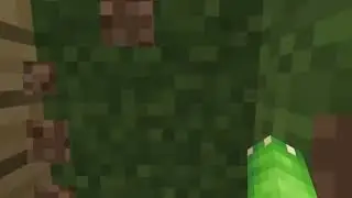 MINECRAFT SLIME BLOCK IN REAL LIFE!| minecraft #629