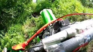 Ушатался об дерево