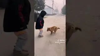 What country is this?