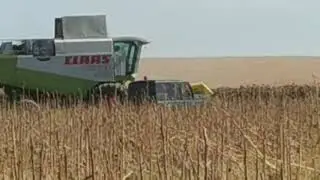 Как Гавришов хочет свой процент
