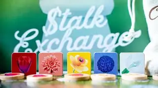 Stalk Exchange | Sequence Reel