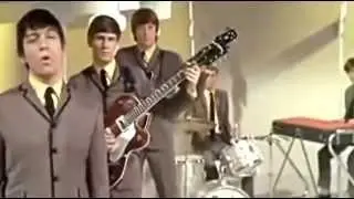 THE ANIMALS - THE HOUSE OF RISING SUN - LIVE (HQ-856X480) 3D