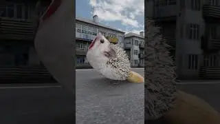 СТОПЕ БЕЛКА