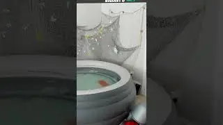 новая звезда твича😈 фул уже на канале