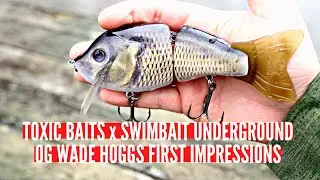 Toxic Baits X Swimbait Underground OG Wade Hoggs - First Impressions and Cast2Catch