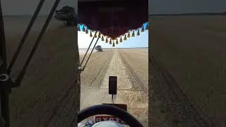26 августа 2024 г.