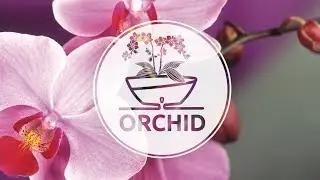 How To Plant ORCHID in an innovative Self-Watering pot CALIPSO by Santino