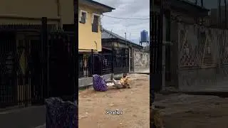 Bait bag prank 😂😂😂😂😂.. Wait for it 🤣🤣🤣🤣🤣.. #foryou #shorts #explore #viralshorts