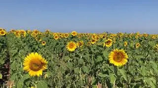 Крым. Бакальская коса.