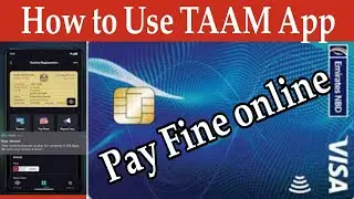 How to Use Tamm app and Pay Traffic Fine via Digital Wallet in UAE