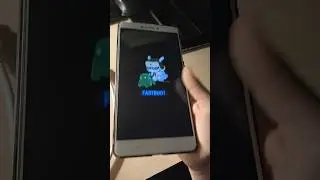 Xiaomi. 