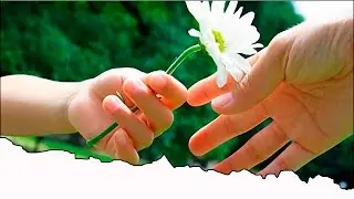 цитаты великих людей - Далай Лама
