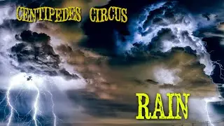 Centipedes Circus - Rain