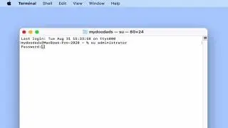 Useful macOS network terminal commands – How to flush the DNS cache of Big Sur