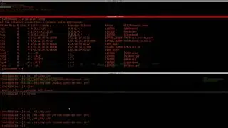 mysql + wordpress + SSL + systemd + Selinux