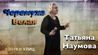 Татьяна Наумова, Музыка в Метро Чеховская 6 ноября 2018, Звуки Улиц #70