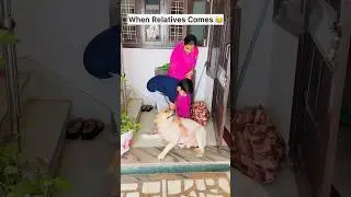 Gapudi loves relatives 😍 | sourshy | #dog #shorts #adorable #cute #doglover #doglovers #trending