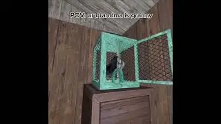 POV:UR GRANDMA IS GRANNY *not my vid* @bigdew0  #shorts #granny #funny #edit