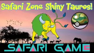 My Longest Hunt EVER! Safari Zone Shiny Tauros!