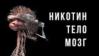 Как НИКОТИН и КУРЕНИЕ влияют на здоровье, мозг и поведение