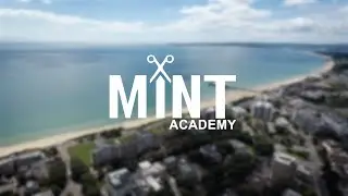 Mint Academy