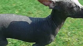 P1230339